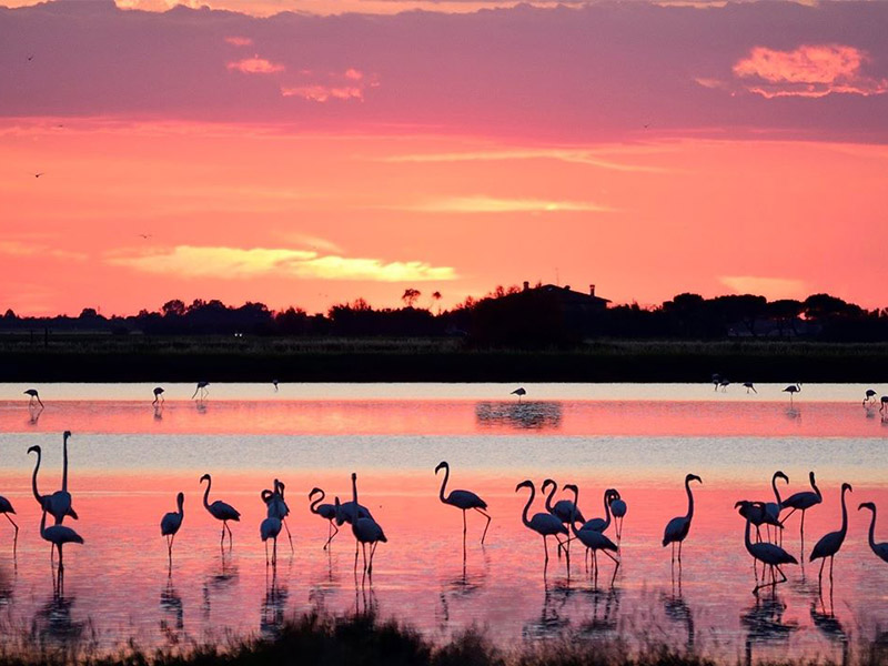 Saline Cervia 2